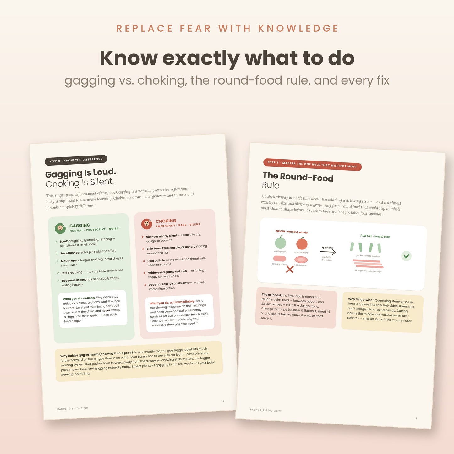 Baby's First 100 Bites: A Visual Safety Guide to Baby-Led Weaning (Digital PDF)