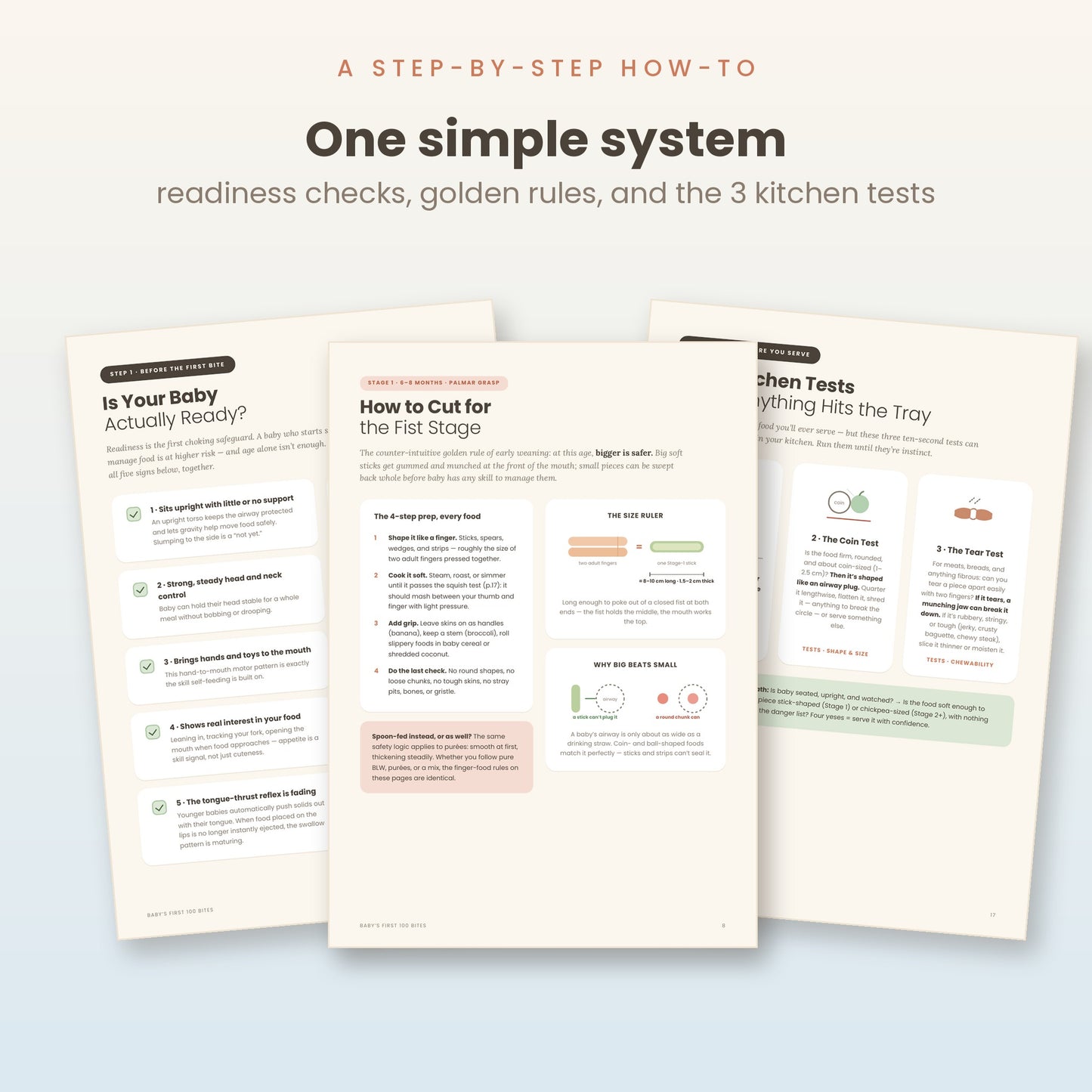 Baby's First 100 Bites: A Visual Safety Guide to Baby-Led Weaning (Digital PDF)